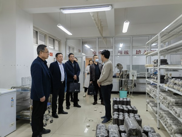 图七.jpg 图七.jpg